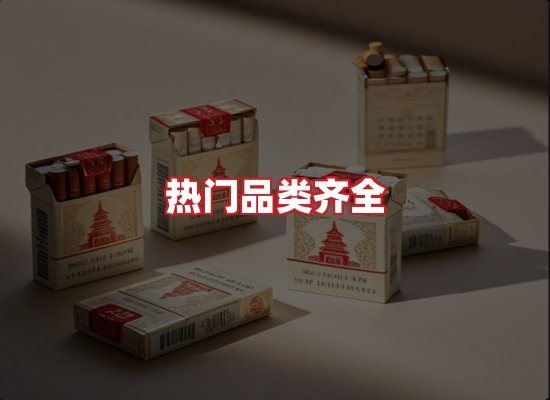 专业团队